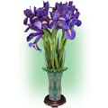 Simply Blue Irises Bouquet