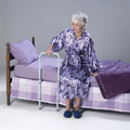 TFI HandiRail Bed Assist Rail