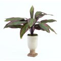 Forever Silk Red Cordyline
