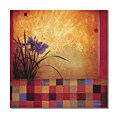 Don Li-Leger Iris Quilt Canvas Art