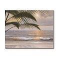Diane Romanello Paradiso Canvas Art