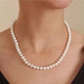14k Cultured Pearl Strand (6.5-7 mm/18 in.)