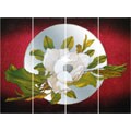 Magnolia Wall Mirror