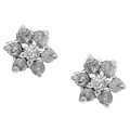 10k White Gold 1/4ct Diamond Flower Cluster Earrings