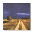 Tandi Venter The Way Home Canvas Art