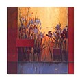 Don Li-Leger Iris Sunrise Canvas Art