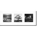Ansel Adams Fiat Lux: Trilogy Framed Print