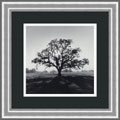 Ansel Adams Oaktree Sunrise Framed Print