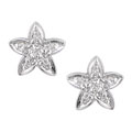 14k White Gold Diamond Star Earrings