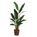 Travelers Silk Palm Tree (54 in. Tall)