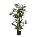 Bamboo Silk Plant (48 in. Tall)