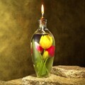 Kahar Tulip Bouquet Botanical Oil Lamp (24 oz.)