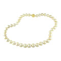 14k Gold Cultured South Sea 19.5-inch Pearl Necklace (10-13mm)
