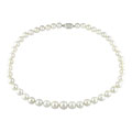 14k Gold Cultured White South Sea Pearl Necklace 19 in. (8-10.7mm)