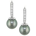 14k Gold Diamond Cultured Tahitian Pearl Earrings (8-9mm)