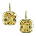 14k Yellow Gold and Citrine Leverback Earrings
