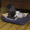 Euro Stripe Pet Bed Medium