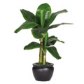 Banana 22-inch Silk Palm Tree with Black Vase