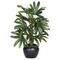 Silk Raphis 20-inch Palm Tree
