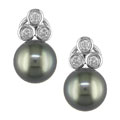 14k White Gold 1/2ct Diamond Tahitian Pearl Earrings
