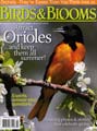 Birds & Blooms