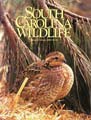 South Carolina Wildlife