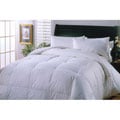 Hungarian 600 Thread Count Goose Down Comforter