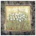Narcissus by Mindeli Stretched Canvas Art Print