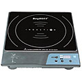 Portable Induction Stove