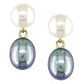 14k Gold Cultured Black & White FW Pearl Earrings (Case of 3)