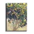 J. Ripoll Limonero Stretched Canvas Artwork