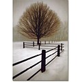 David Lorenz Winston Solitude Canvas Art