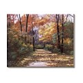 Diane Romanello Autumn Road Canvas Art