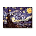 Vincent van Gogh The Starry Night Canvas Art