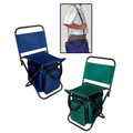 Sports Picnic Chair