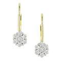 14k Two-tone Gold and 1/4ct Diamond Earrings