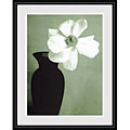 Steven N. Meyers Single Anemone Framed Art Print