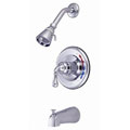 Chrome Tub and Shower Faucet