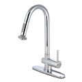 Chrome Kitchen Faucet with Pull-down Spout