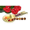 Tuscan Collection Hand-painted Spoon Rest