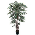 Silk Ruscus Tree (4 ft.)