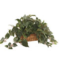 Forever Silk Plant with Ledge Basket