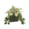 Forever Silk Tropical Mix Plant