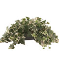 Forever Silk Foliage/Grass Large Ledge Basket Plant