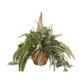 Forever Silk Assorted Greenery Hanging Plant