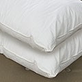 Angel Soft Down Alternative Pillows (Set of 2)