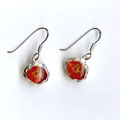 Pressed Flower Earrings (USA)