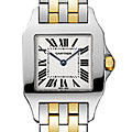 Cartier Santos Demoiselle Women's Watch