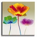Poppy Chromatic by Robert Mertens Stretched Canvas Art