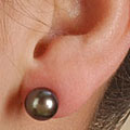 Black Cultured Akoya Pearl Earrings